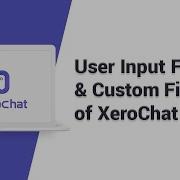 User Input Custom Fields Of XeroChat