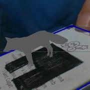 Augmented Reality With Python And OpenCV Fox Demo II