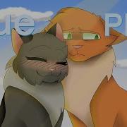 Colors PMV Warrior Cats Ocs Warning A Little Blood