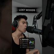 Lost Woods Zelda HEY LISTEN