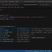 Angular 10 Custom Directives