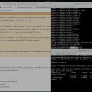 Lecture 2 The Command Line Interface CLI