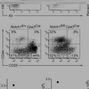 Flow Cytometry