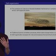 Module 8 Features Of Complex Adaptive Systems Self Organization