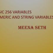 BASIC256 VARIABLES