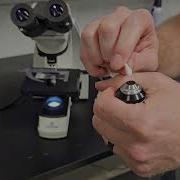 Is Your 40X Microscope Lens Blurry Here S How To Fix It FAST