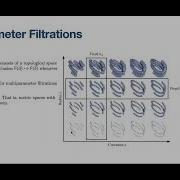 Multiparameter Persistent Homology