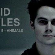 Maroon 5 Animals Void Stiles Türkçe Çeviri