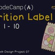 FreeCodeCamp Responsive Web Design Nutrition Label Steps 1 10