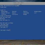 Learn To Code With Ruby Section 01 Lesson 06 Mac OS Run Ruby File From Terminal