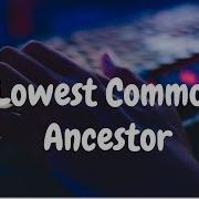 130 Binary Search Tree Lowest Common Ancestor Trees Hackerrank Solution Python