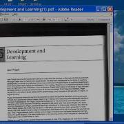 Inaccessible Pdf