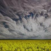 Wild Winds Time Stack Lapse