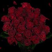 Valentine Ambience Red Roses And Burning Candles