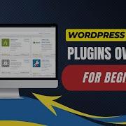 WordPress Plugins Overview For Beginners