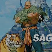 Street Fighter V Arcade Edition Sagat Gameplay Trailer PS4