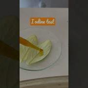 Iodine Test To Check The Presence Of Starch Labexperiment Scienceexperiment Labtesting