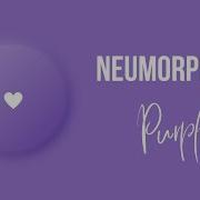 DOPEST Version Of Neumorphism Flutter Design Tutorial