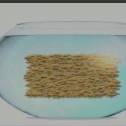 Web Browser App Tested On FishBowl HTML5 Test