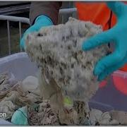 Why You Actually Shouldn T Flush Flushable Wipes