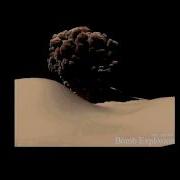Arsalan Maya Fluids Explosion Test
