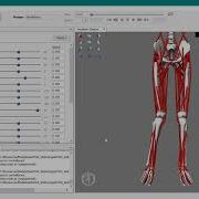 How To Define Knee Adduction Coordinate In OpenSim