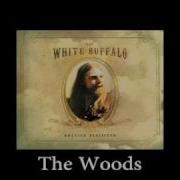 White Buffalo The Woods