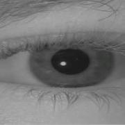 Iris Recognition Camera View