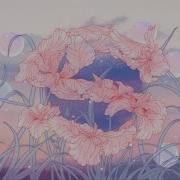 Kanallia Saram12saram Iris Visualizer