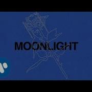Ali Gatie Moonlight Official Lyrics Video