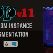 YOLOv11 Instance Segmentation On Custom Dataset Step By Step Guide