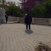 Bir Bahçen Var İdi Mor Menekşe Gül