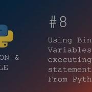 Python Programming Executing SQL Queries With Bind Variables From Python Script