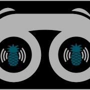 HTTPeek Module Tutorial Let S Learn