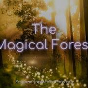The Magical Forest Guided Meditation Visualization For Deep Relaxation De Stressing