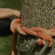 Fundamental Rigging Techniques