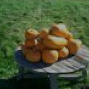 The Exploding Pumpkin Pyramid