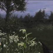 Ninja Defuses On CoD 2