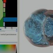 Volume Viewer