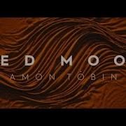 Amon Tobin Red Moon