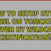 How To Setup Https Ssl On Tomcat Server By Wildcard Certification