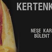 Kertenkele Türk Filmi Neşe Karaböcek