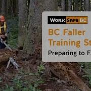 BC Faller Training Standard Preparing To Fall 6 Of 17
