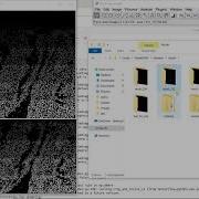 Deep Learning Based Segmentation For Biologists Processing Mask R CNN