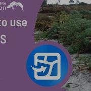 How To Use ArcGIS Field Maps