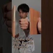 Karate One Inch Punch Tutorial