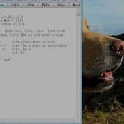 Gnuplotをwindowsでの使いかた