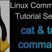 Cat Command In Linux Tac Command In Linux Linux Tutorial Series