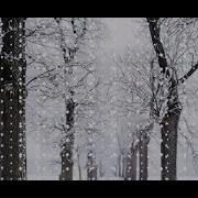 Create A Snowfall Animation With HTML CSS