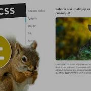 How To Create Pure CSS Vertical Tabs With Indicator Step By Step